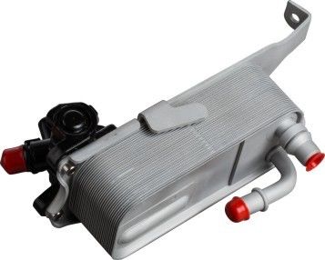 Quality  17217600553 BMW Oil Cooler Replacement Bmw Car Parts For BMW 230i 328I N20 factory