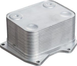 077117021P  VW Touareg 4.2L V8 2004-2006